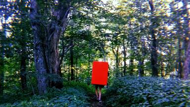 Followed a sentient crash pad into the woods for some climbing #Adventure