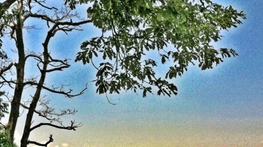 Looking down in the valley