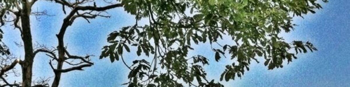 Looking down in the valley