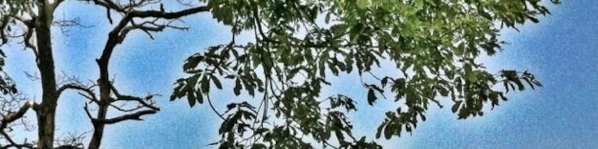 Looking down in the valley