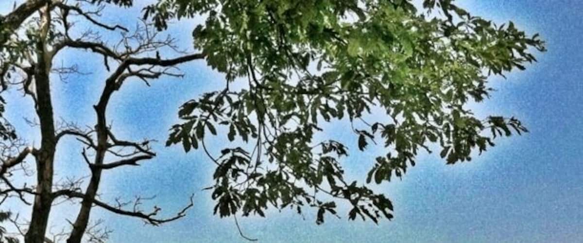 Looking down in the valley