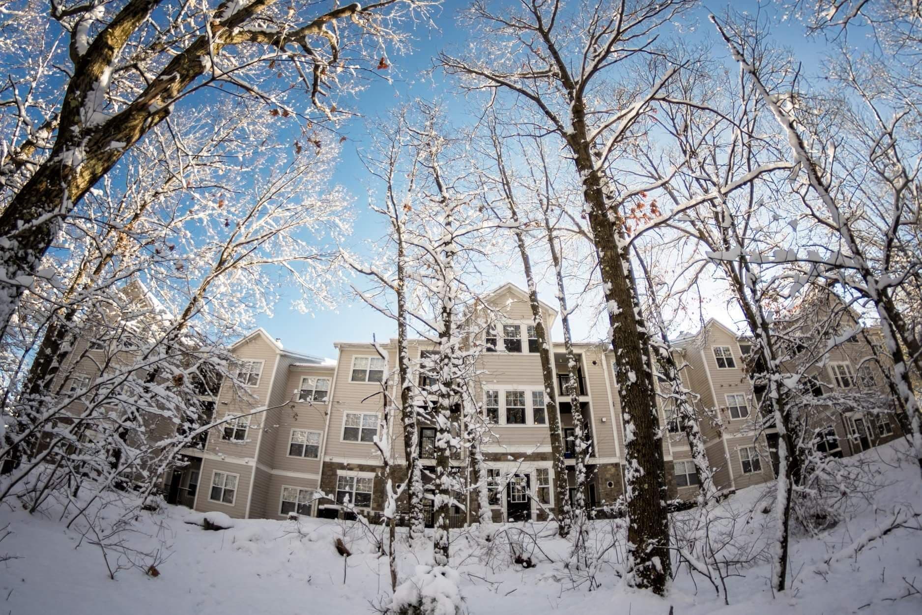 Originally purchased as land for a cemetery in 1877, the land was officially designated as a park in 1896. Today, the 120 acre park serves as one of the most popular places in Essex County for outdoor rock climbing. Set in the densely developed and historic City of Lawrence the park contains scenic rocky outcroppings and a diverse wooded setting that are home to a variety of wildlife, including deer, coyotes, fox, beaver, red tail hawks, great blue herons and king fishers.
#USA #massachusetts #Lawrence #parks
