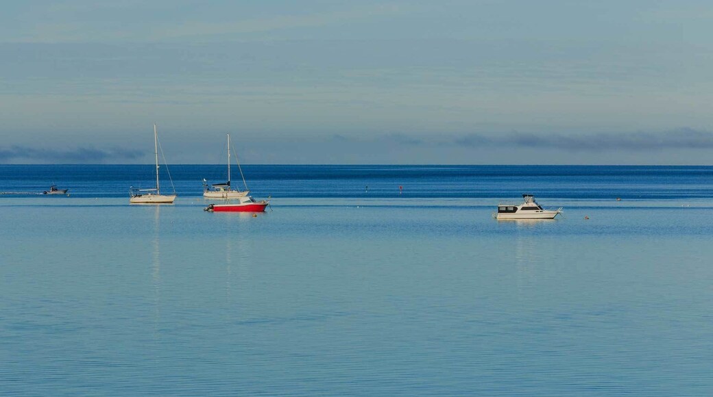 Register your Boat and Yacht Online at boatregistration.online. We are the market leader in offering the Dutch boat, yacht, ship and sailboat registration services at very low rates under the Dutch flag. Call us at +31654952624 for more info! Visit Us:- https://www.boatregistration.online/