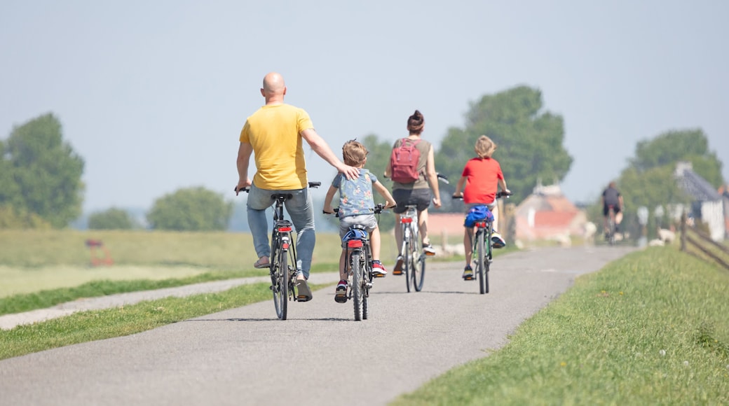 Cyclists cycling on a dyke