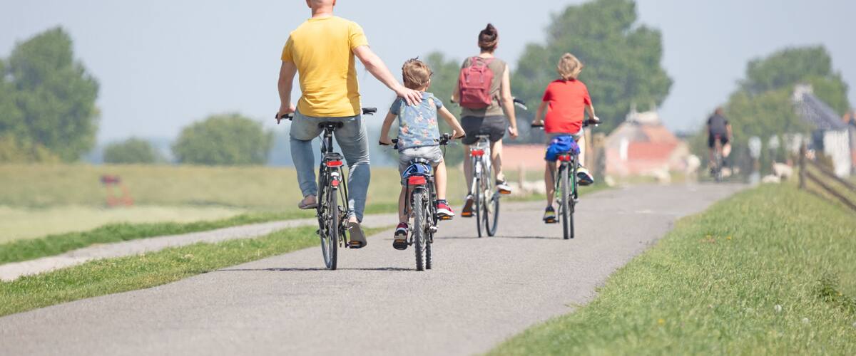 A paved path with cyclists, grassy areas, and distant buildings.