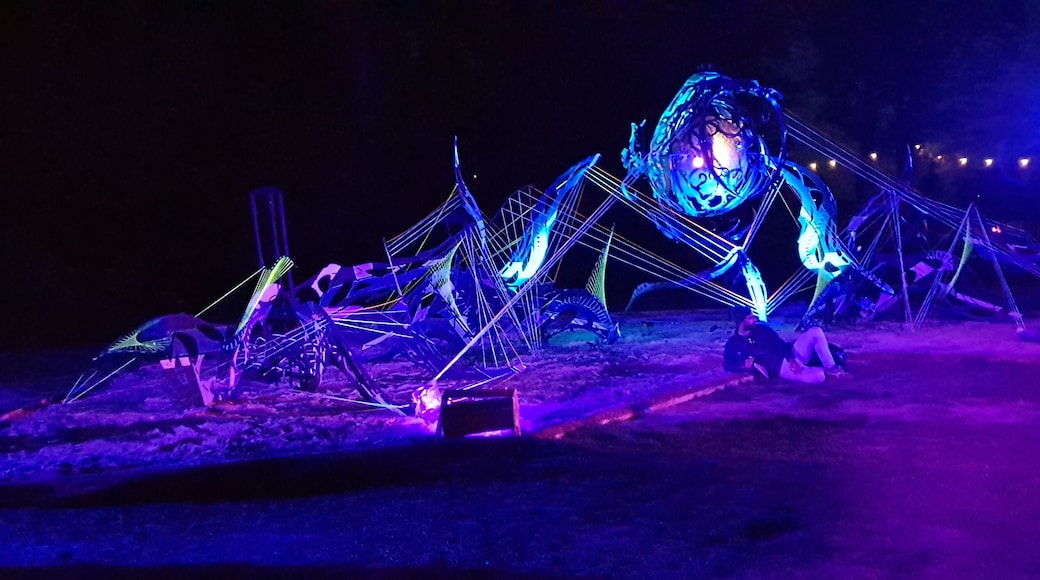 Special decor and lightning at night.