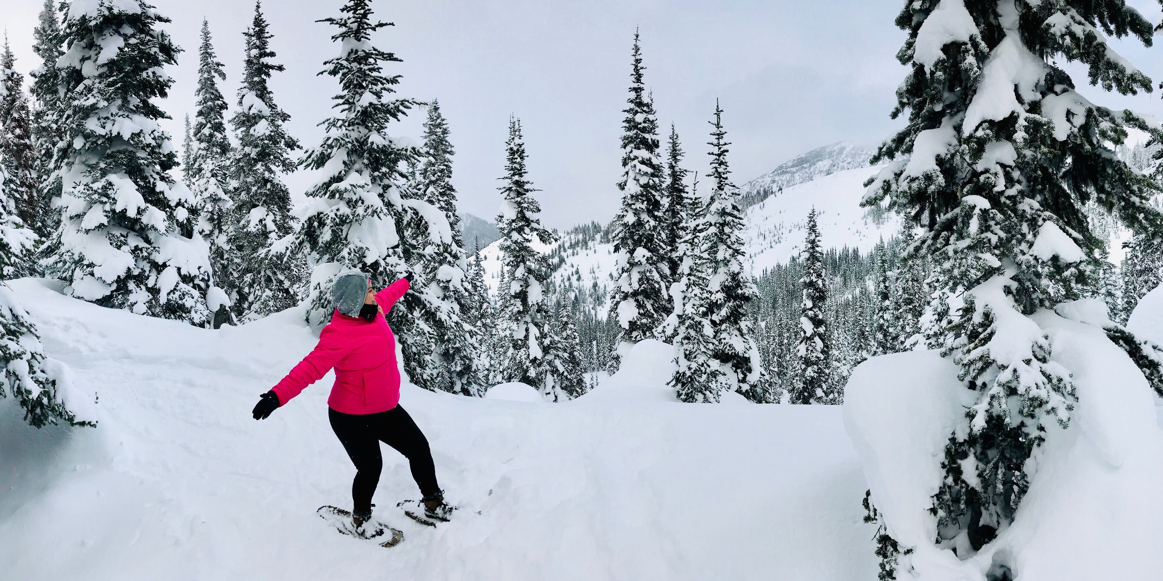 Every good #Adventure comes with surprises! I had no intention of snowshoeing up a mountain but life said differently. We stumbled upon #HurricaneRidge and it did not disappoint! Drive all the way up to the visitors center and choose between skiing, snowboarding, for beginners like me, a breathtaking stroll through the snow top mountains 🏔 #NaturePhotoContest