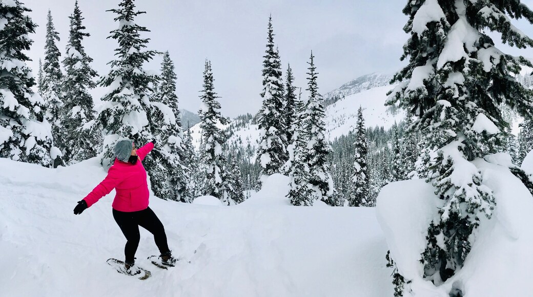 Every good #Adventure comes with surprises! I had no intention of snowshoeing up a mountain but life said differently. We stumbled upon #HurricaneRidge and it did not disappoint! Drive all the way up to the visitors center and choose between skiing, snowboarding, for beginners like me, a breathtaking stroll through the snow top mountains 🏔 #NaturePhotoContest