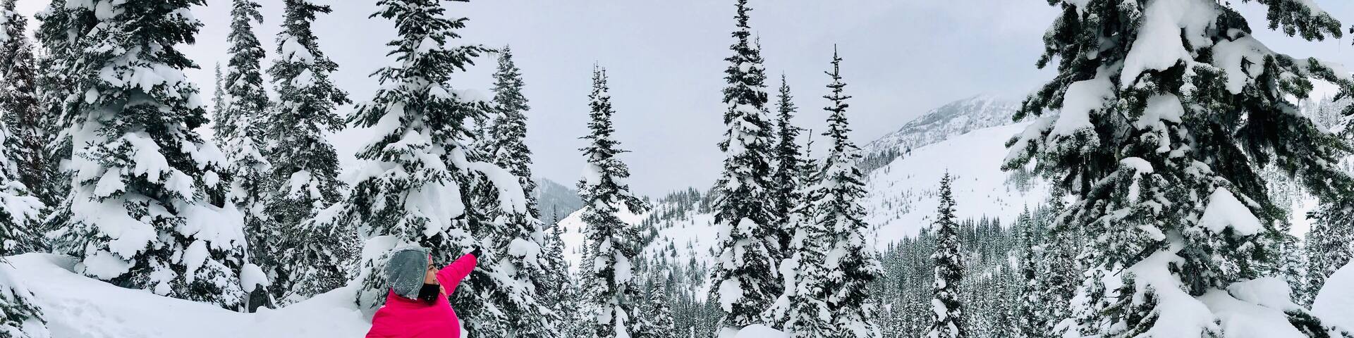 A person snowboarding in a snowy forest with tall evergreen trees.