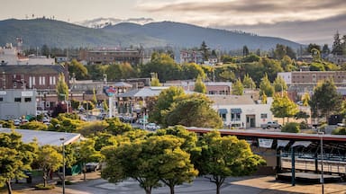 Port Angeles showing landscape views
