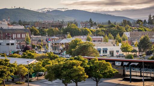 Port Angeles showing landscape views
