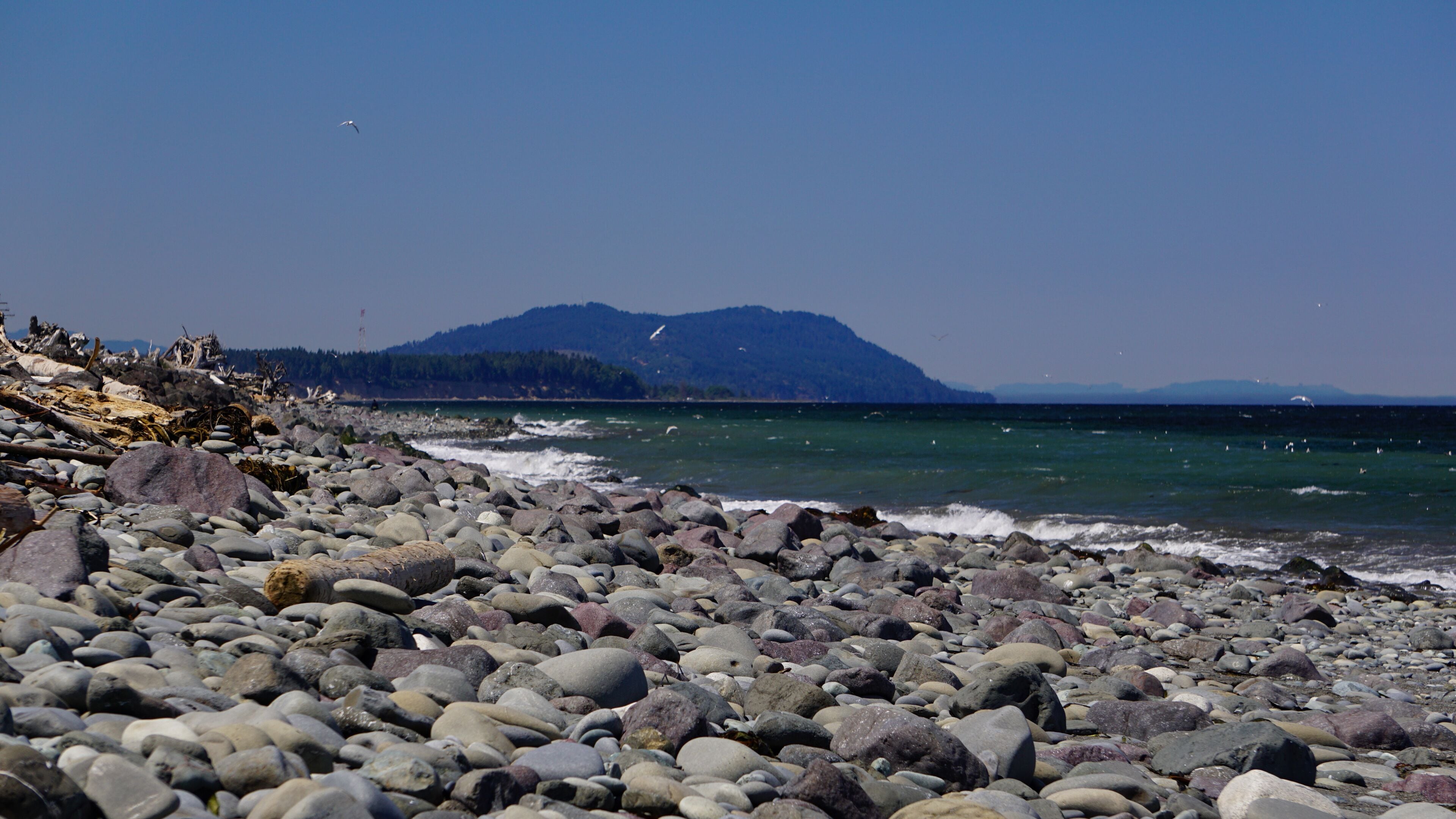 A rocky beach with waves, a forested hill, and a clear sky.