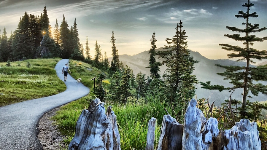Olympic National Park in August late afternoon, this is such a beautiful easy hike...
#NationalParks
#TakeAHike
#GreatOutdoors