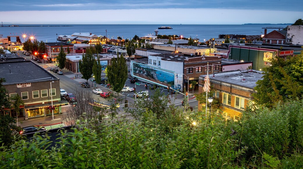 Port Angeles featuring landscape views and a coastal town