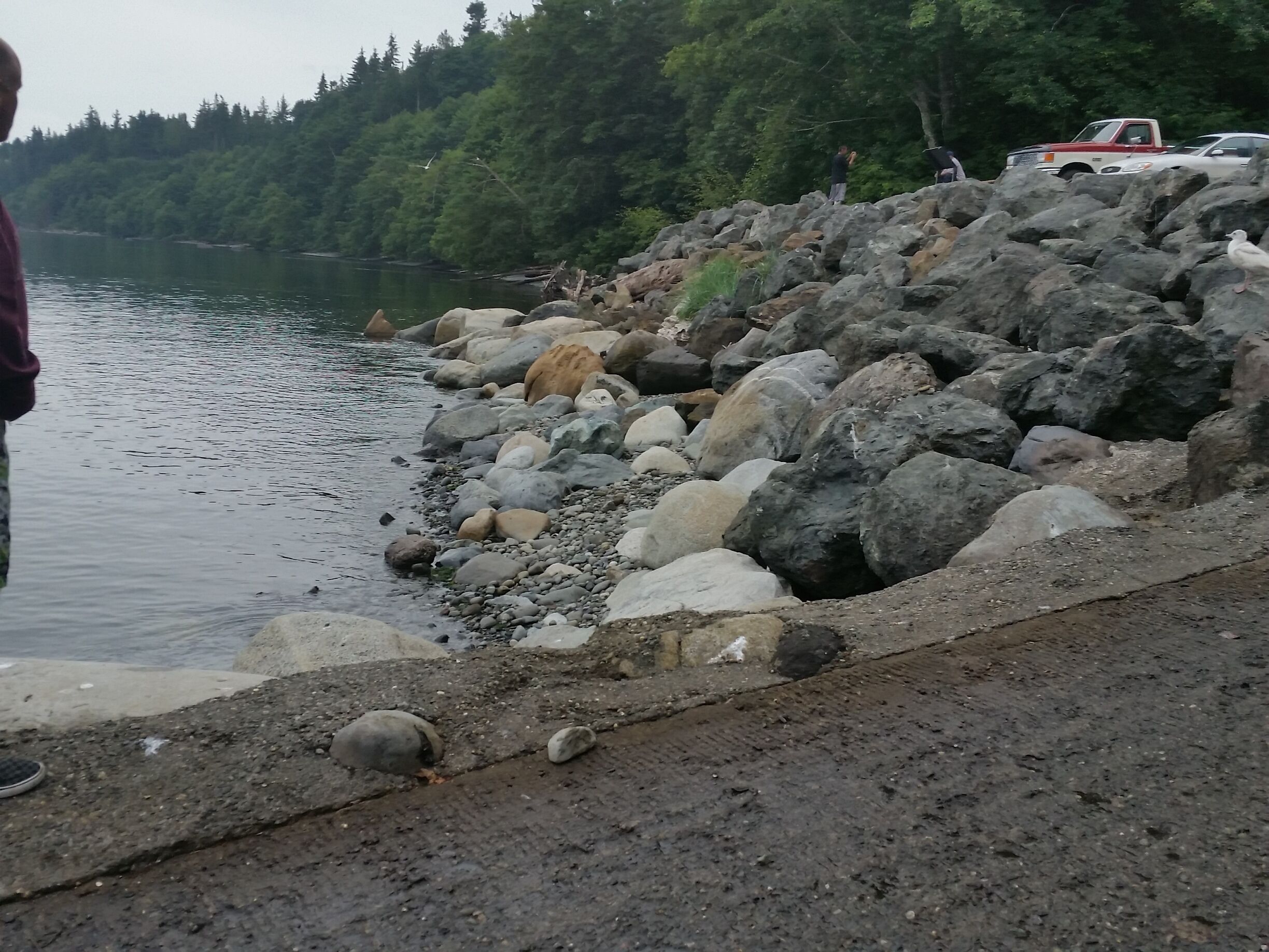 A rocky shoreline with a body of water, a forested hill in the background, and a red truck parked on the rocks.
