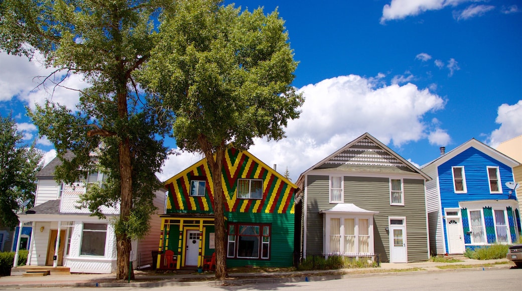 Leadville ofreciendo una casa
