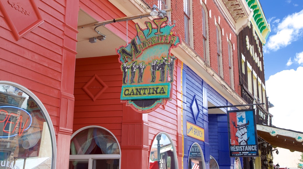 Leadville which includes signage