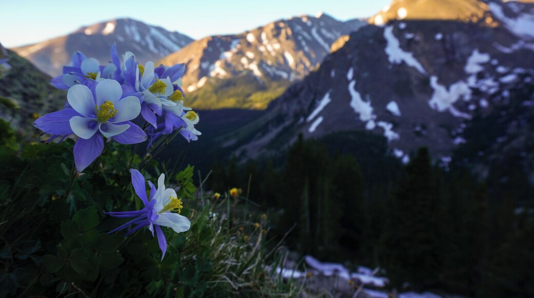 Mount Massive, CO. #BvSSpring