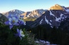 Paisaje montañoso con picos nevados y un primer plano de flores púrpuras y blancas.