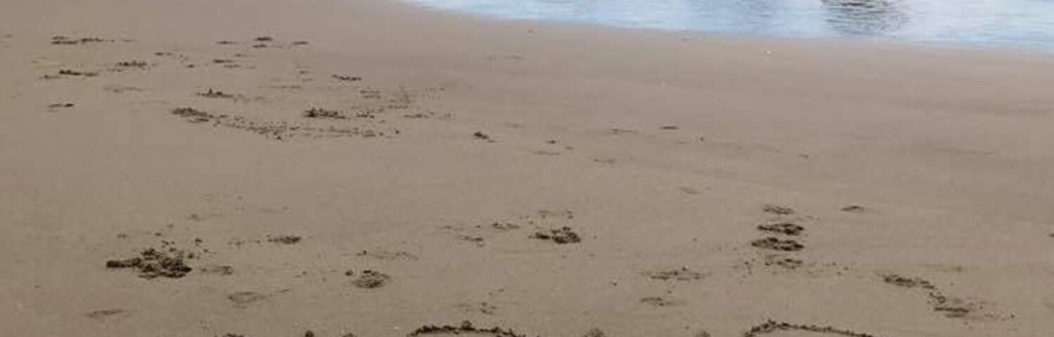 A short hike to get to this beach but well worth it!