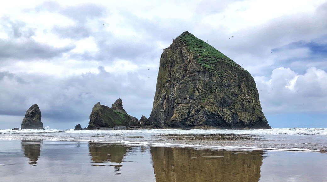 Huge monolith on the Oregon coast called Haystack Rock.