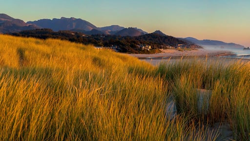 ์ค๋ฆฌ๊ฑด