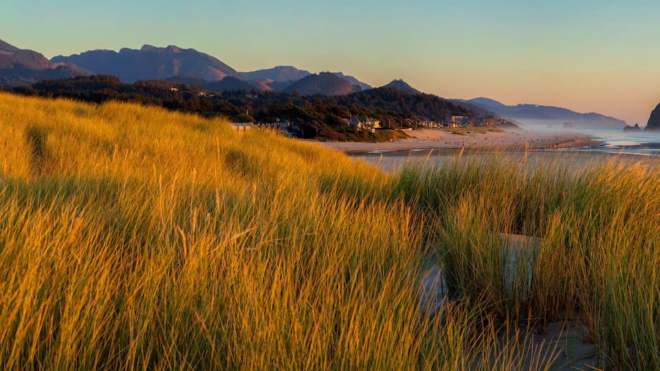 A coastal landscape with golden grass, a beach, and distant mountains.
