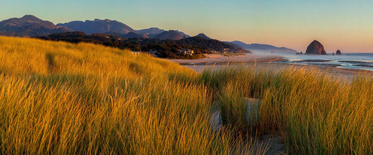 A coastal landscape with golden grass, a beach, and distant mountains.