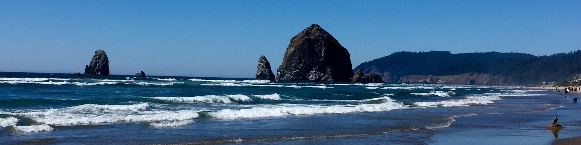 Cannon Beach's iconic Haystack Rock at low tide.