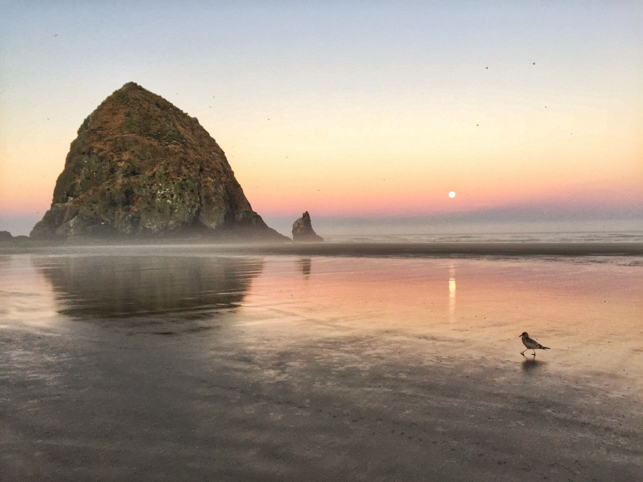 Full moon sliding down into Pacific Ocean @ daybreak