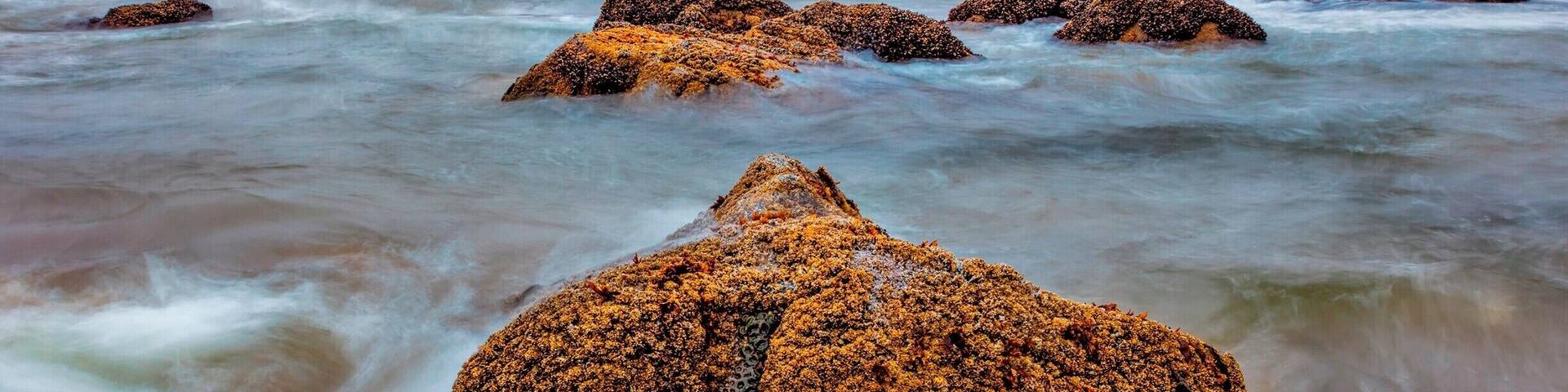Looking out at Submarine Rock at low tide during an early morning rain. The water was so cold, but finding all the sealife was worth it.