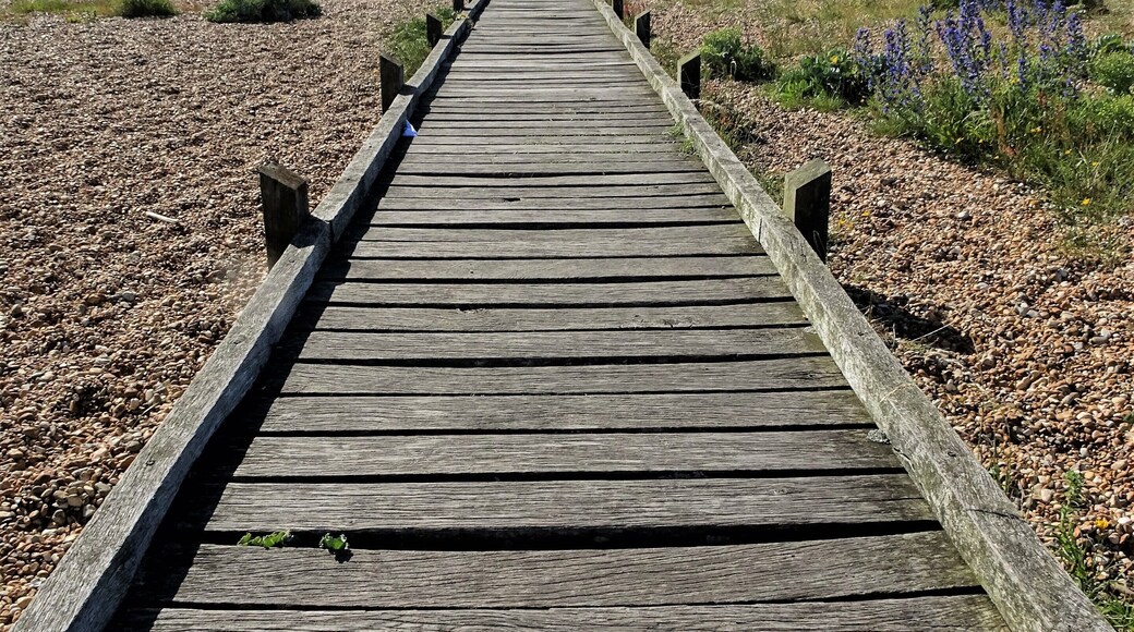 A path leads through the "desert" of Dungeness to the sea. #LocalSecrets #Trovember