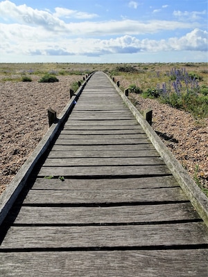 A path leads through the "desert" of Dungeness to the sea. #LocalSecrets #Trovember