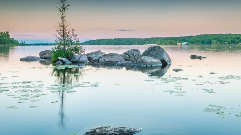 A calm lake with large rocks, lily pads, and a small tree.