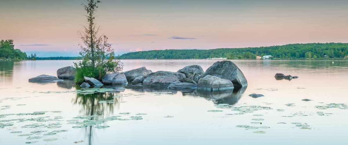 A calm lake with large rocks, lily pads, and a small tree.