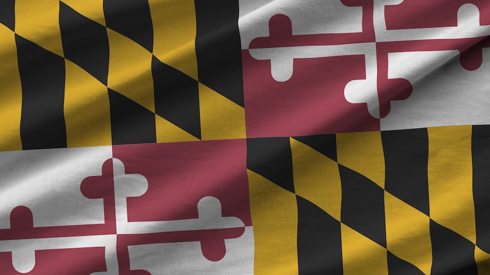 A flag with a checkered pattern of black, yellow, and red with white crosses.