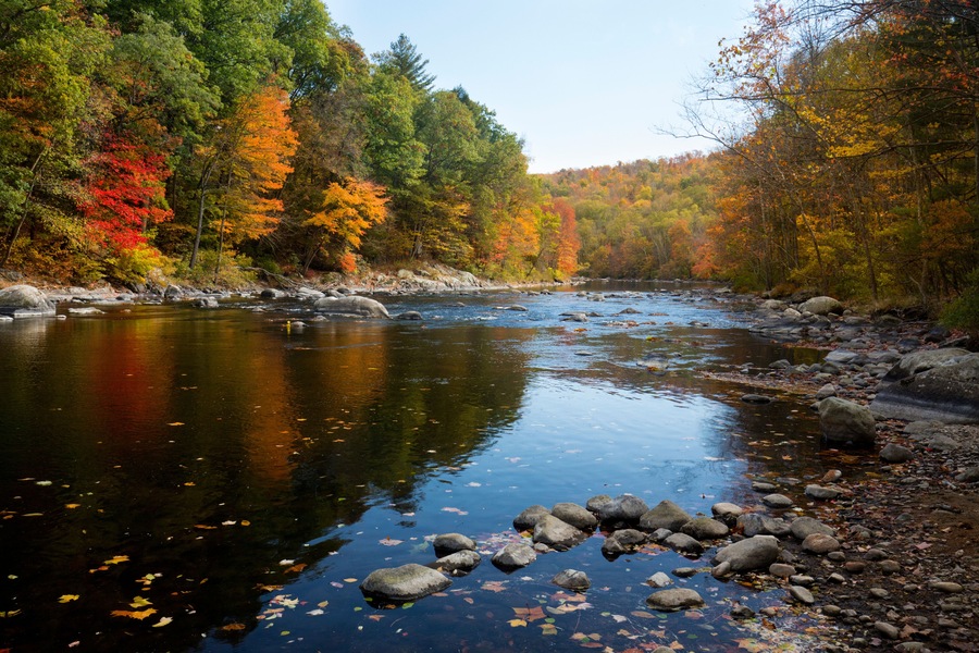 Colorful fall foliage along the Farmington River in Canton, Connecticut.