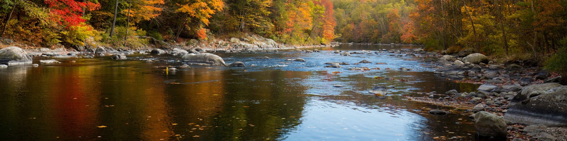 Colorful fall foliage along the Farmington River in Canton, Connecticut.