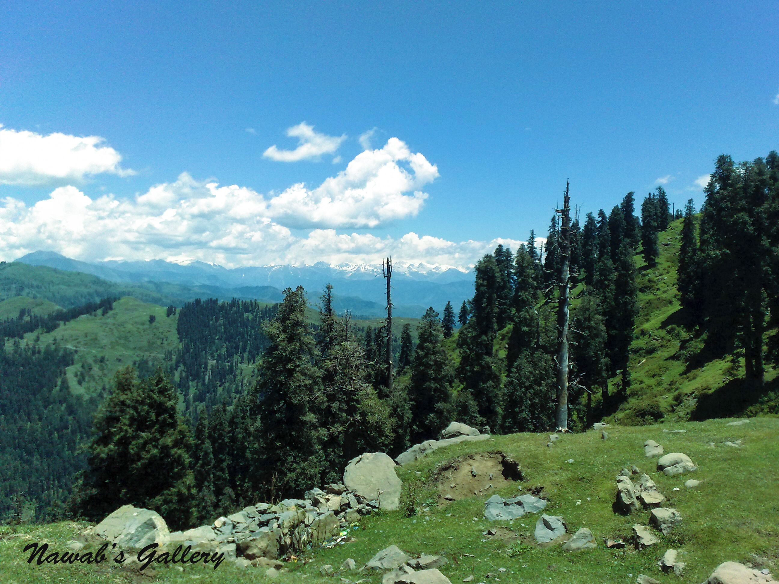 A mountainous landscape with dense forests, rocky terrain, and distant snow-capped peaks under a clear blue sky.