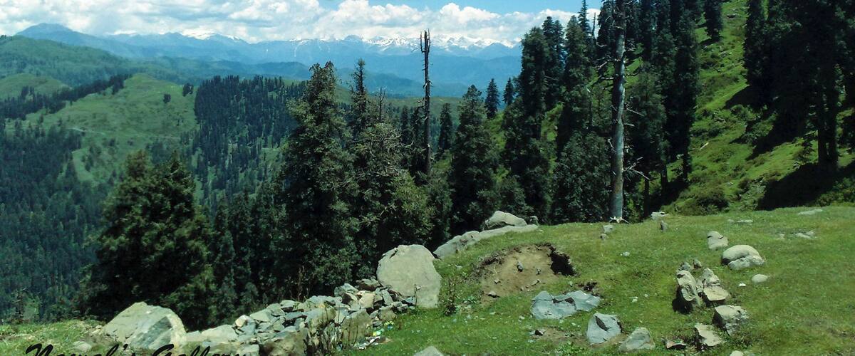 A mountainous landscape with dense forests, rocky terrain, and distant snow-capped peaks under a clear blue sky.