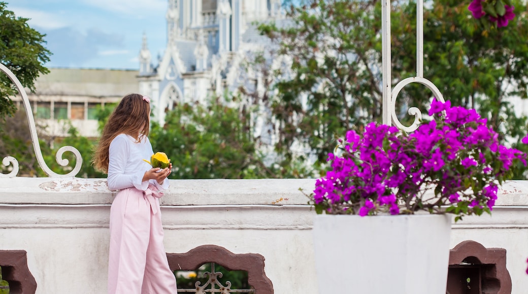 Beautiful young girl on the Ortiz Bridge eating a mango in front of the famous gothic church of La Ermita built on 1602 in the city of Cali in Colombia