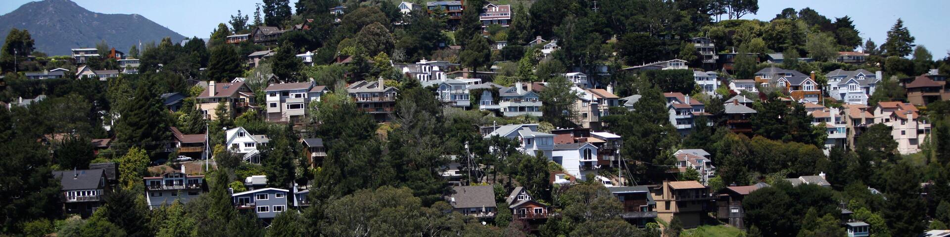 View of homes nestled in the hills of Mill Valley.