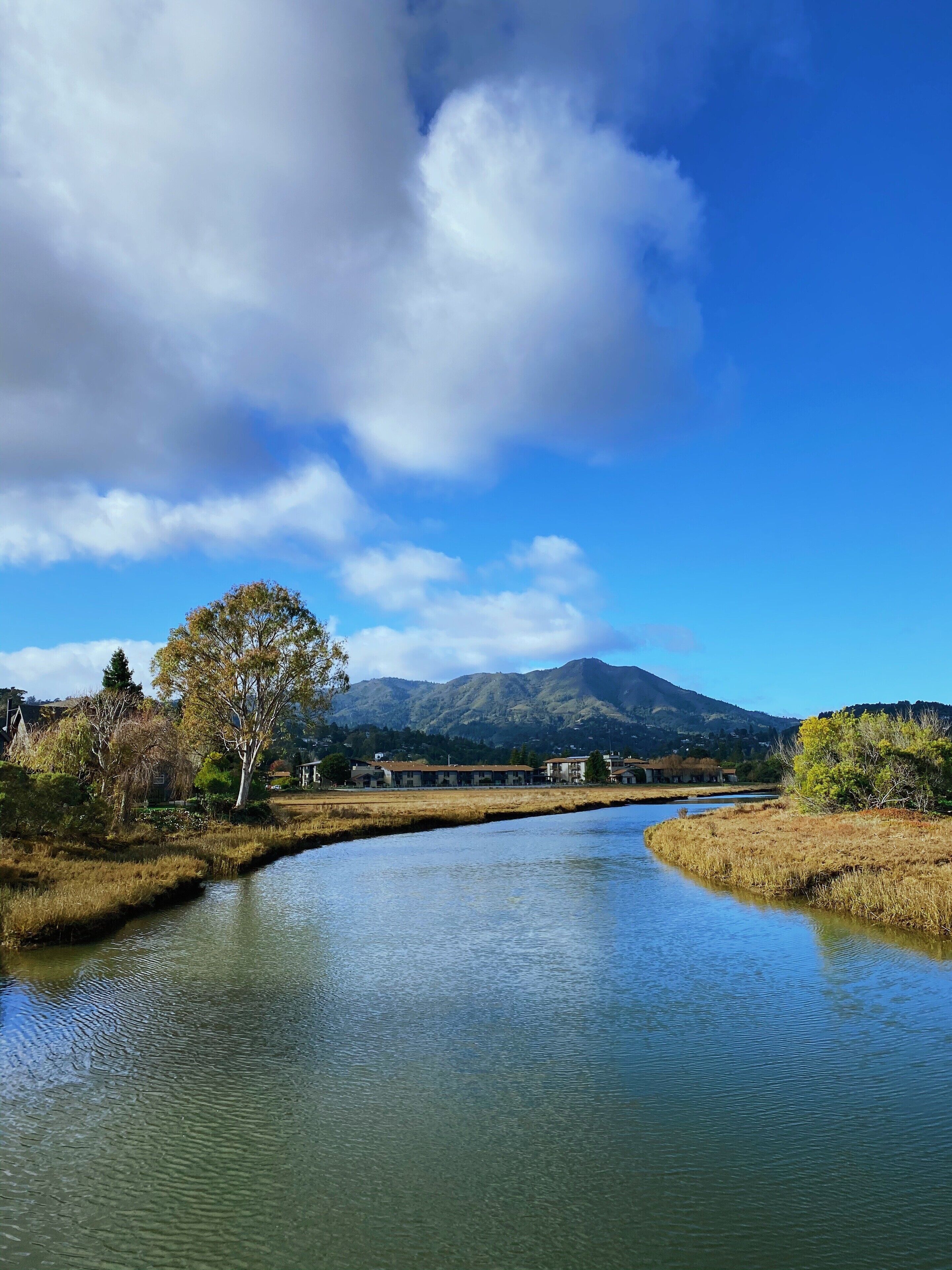 home. ❤️ 
I’m incredibly lucky to call Mill Valley home. Even on the stormiest days it’s still pretty beautiful. We have so many easy walking paths and small treasures.