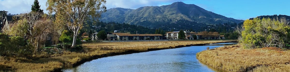 home. ❤️
I’m incredibly lucky to call Mill Valley home. Even on the stormiest days it’s still pretty beautiful. We have so many easy walking paths and small treasures.