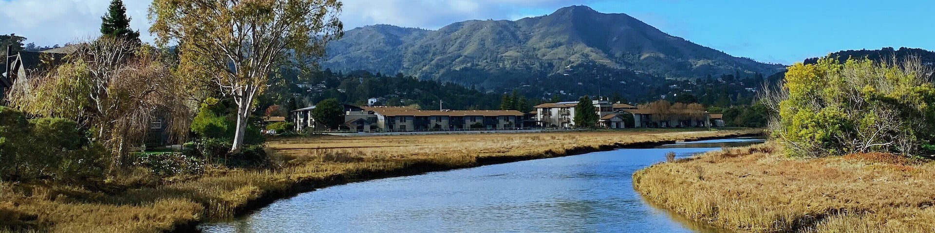 home. ❤️
I’m incredibly lucky to call Mill Valley home. Even on the stormiest days it’s still pretty beautiful. We have so many easy walking paths and small treasures.