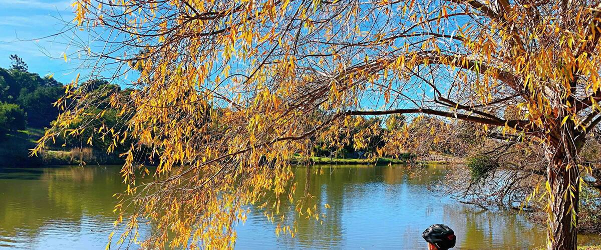 Nice park with beautiful view of the lake, perfect place for a quiet bbq with family and hiking trail. Located in Milpitas ca.