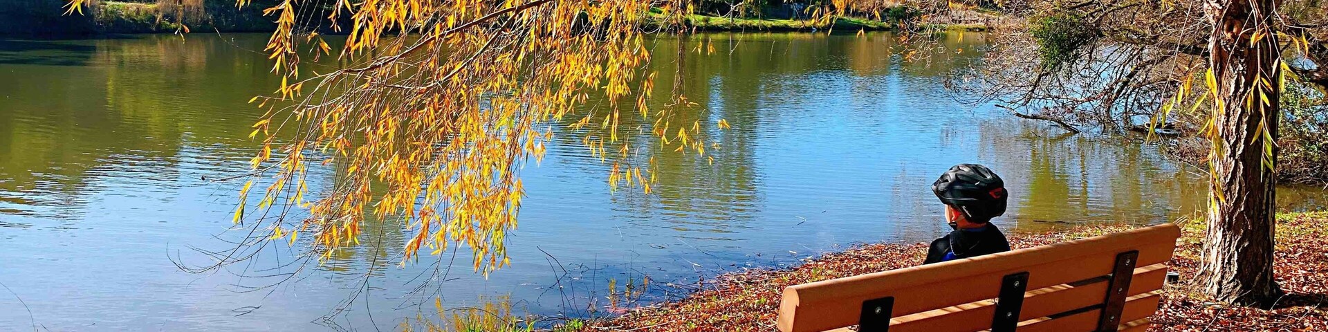 Nice park with beautiful view of the lake, perfect place for a quiet bbq with family and hiking trail. Located in Milpitas ca.