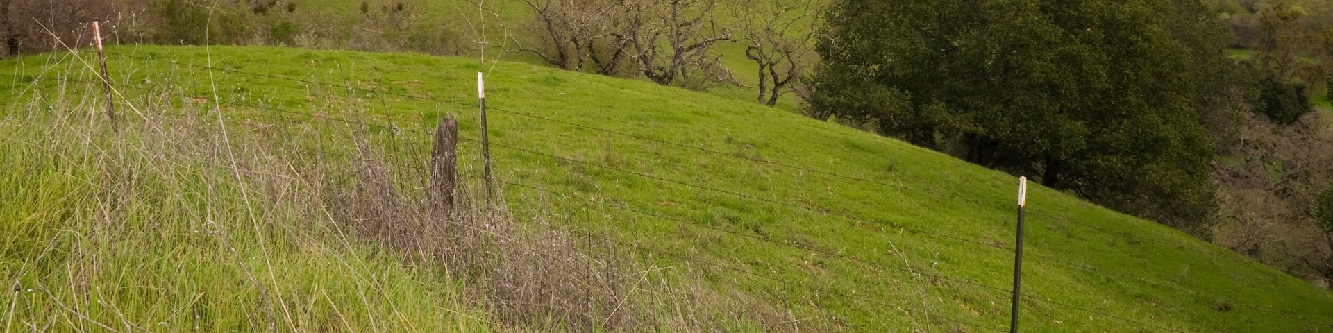 Calaveras Reservoir on an overcast day, Milpitas, California
