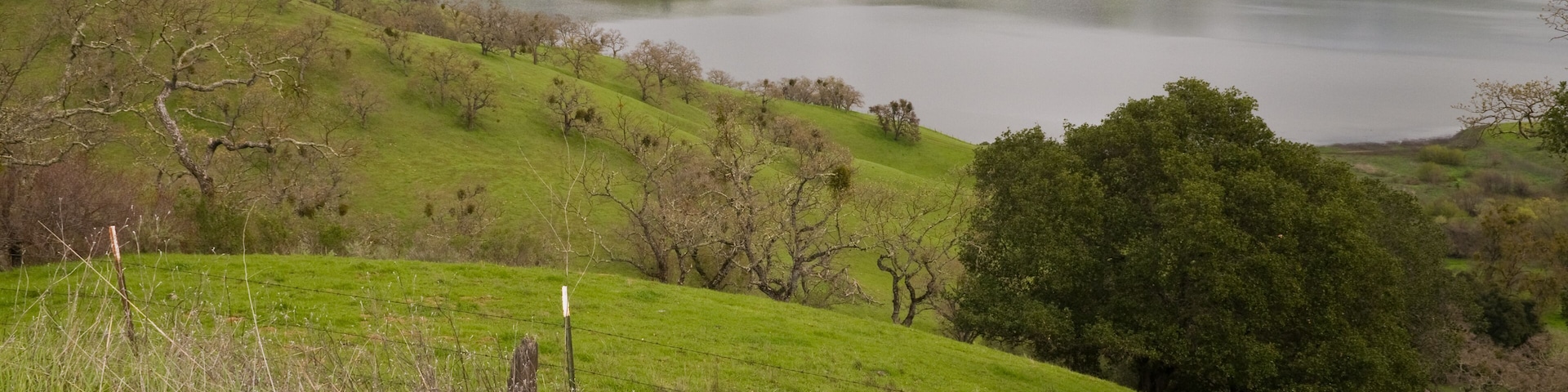 Calaveras Reservoir on an overcast day, Milpitas, California