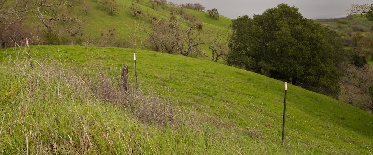 Calaveras Reservoir on an overcast day, Milpitas, California